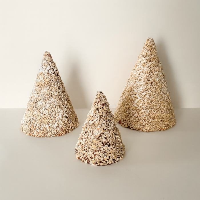 Sapins fruits secs en chocolat Rivera Cacao — Collection Noël 2026